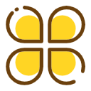 feature icon